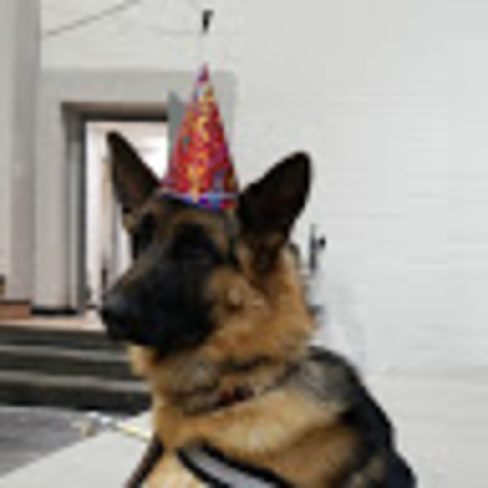 Meet your Posher, Exidevo